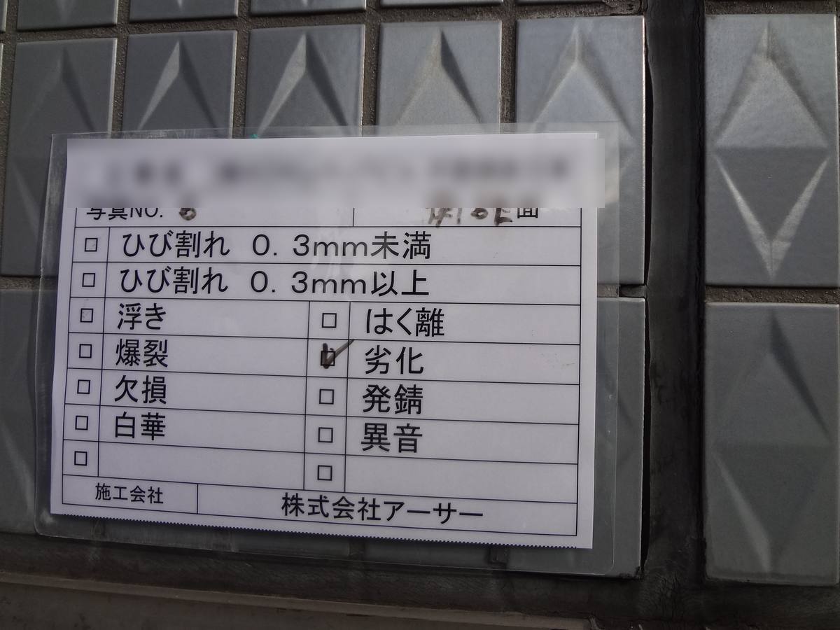 調査記録